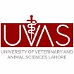 post_img