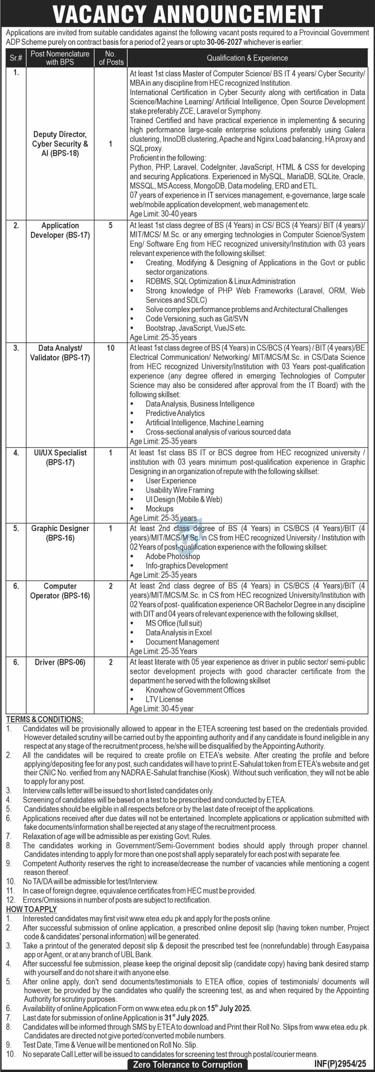 Deputy Director, Developers & IT Staff Jobs in Provincial Govt Project 07/2025