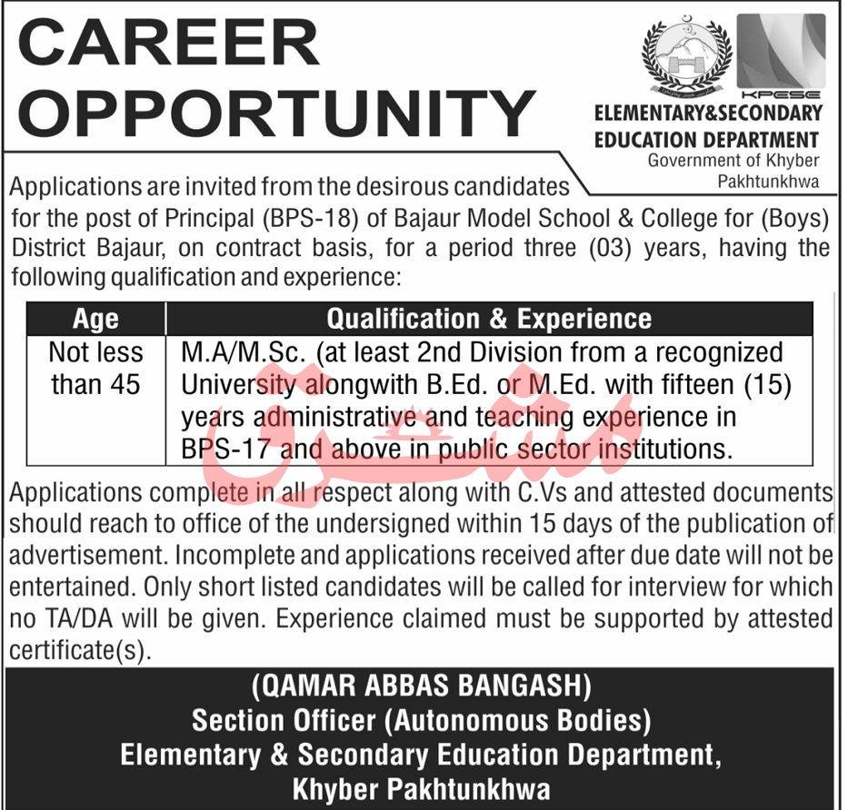 Bajaur Model School & College (Boys), Bajaur KP – Principal Job Vacancy 07/2025