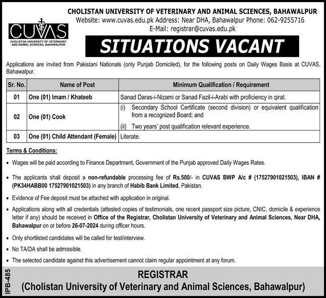 CHOLISTAN UNIVERSITY OF VETERINARY & ANIMAL SCIENCES BAHAWALPUR | DAILY WAGES STAFF AT CUVAS 07-2024