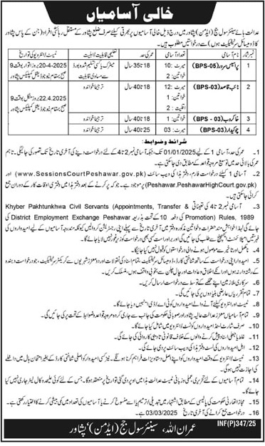 SENIOR CIVIL JUDGE (ADMIN) COURT, PESHAWAR | DISTRICT JUDICIARY STAFF ADVERTISEMENT 02-2025