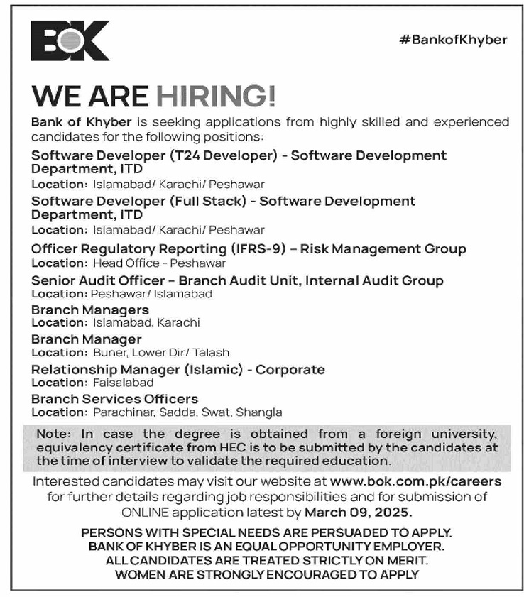 THE BANK OF KHYBER | SOFTWARE DEVELOPERS, AUDIT & MANAGERS BOK POSITIONS VACANT 02-2025