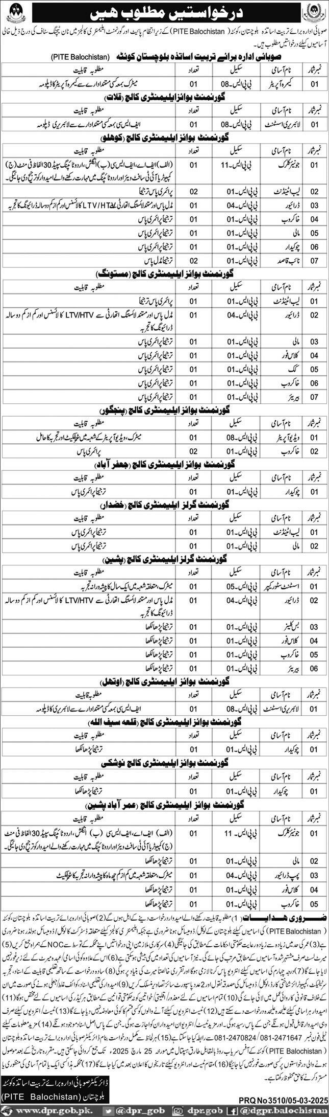 PROVINCIAL INSTITUE OF TEACHERS EDUCATION, PITE BALOCHISTAN & ELEMENTARY COLLEGES VACANCIES 03-2025