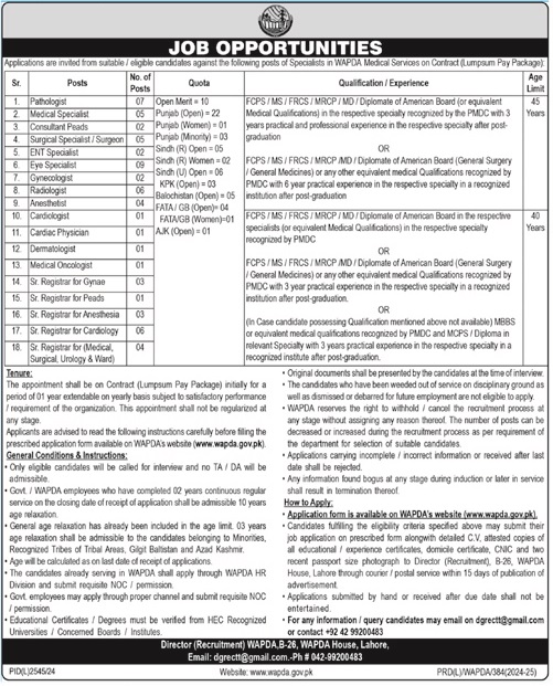 WATER & POWER DEVELOPMENT AUTHORITY | WAPDA MEDICAL SERVICES JOB VACANCIES 03-2025