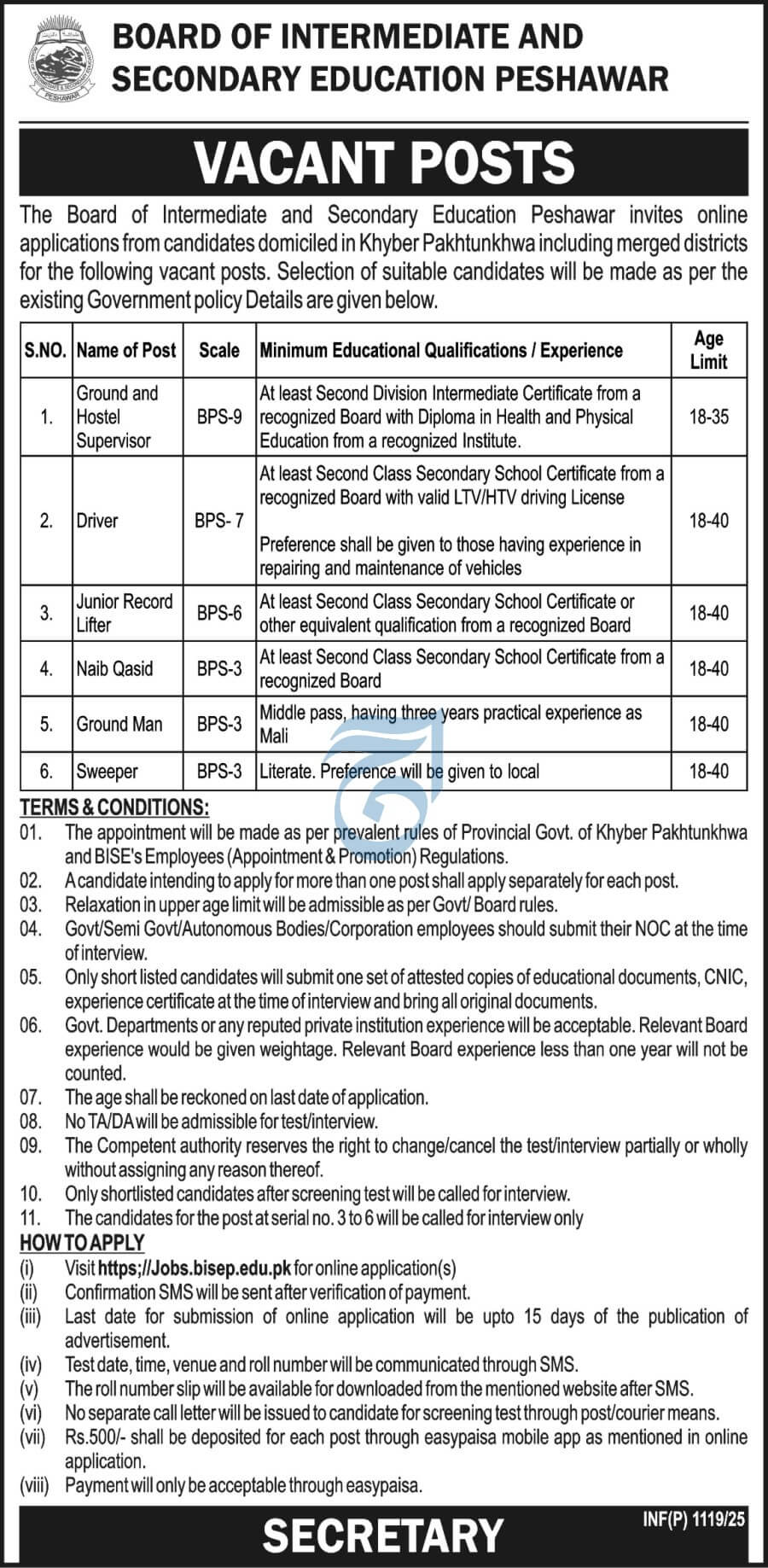 BOARD OF INTERMEDIATE & SECONDARY EDUCATION, PESHAWAR | BISE PESHAWAR STAFF VACANCIES 03-2025