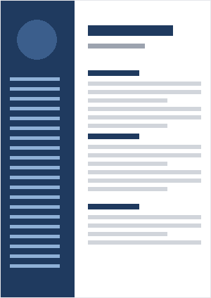 Pro Navy Sidebar CV preview
